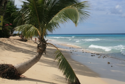 Barbados Feb 2011